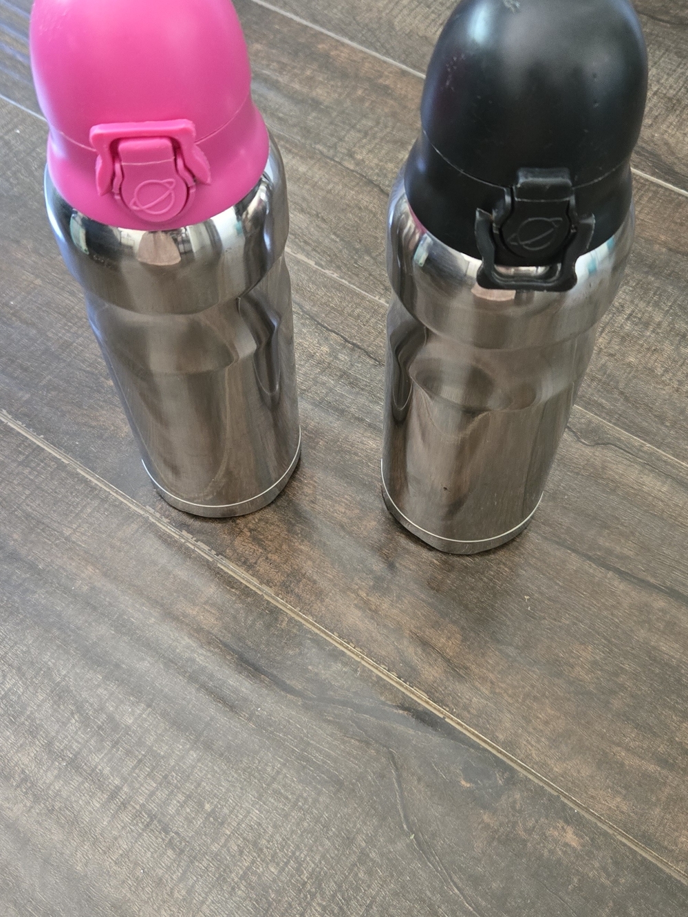 Planetbox Stainless Water Bottles with Pink and Black Caps